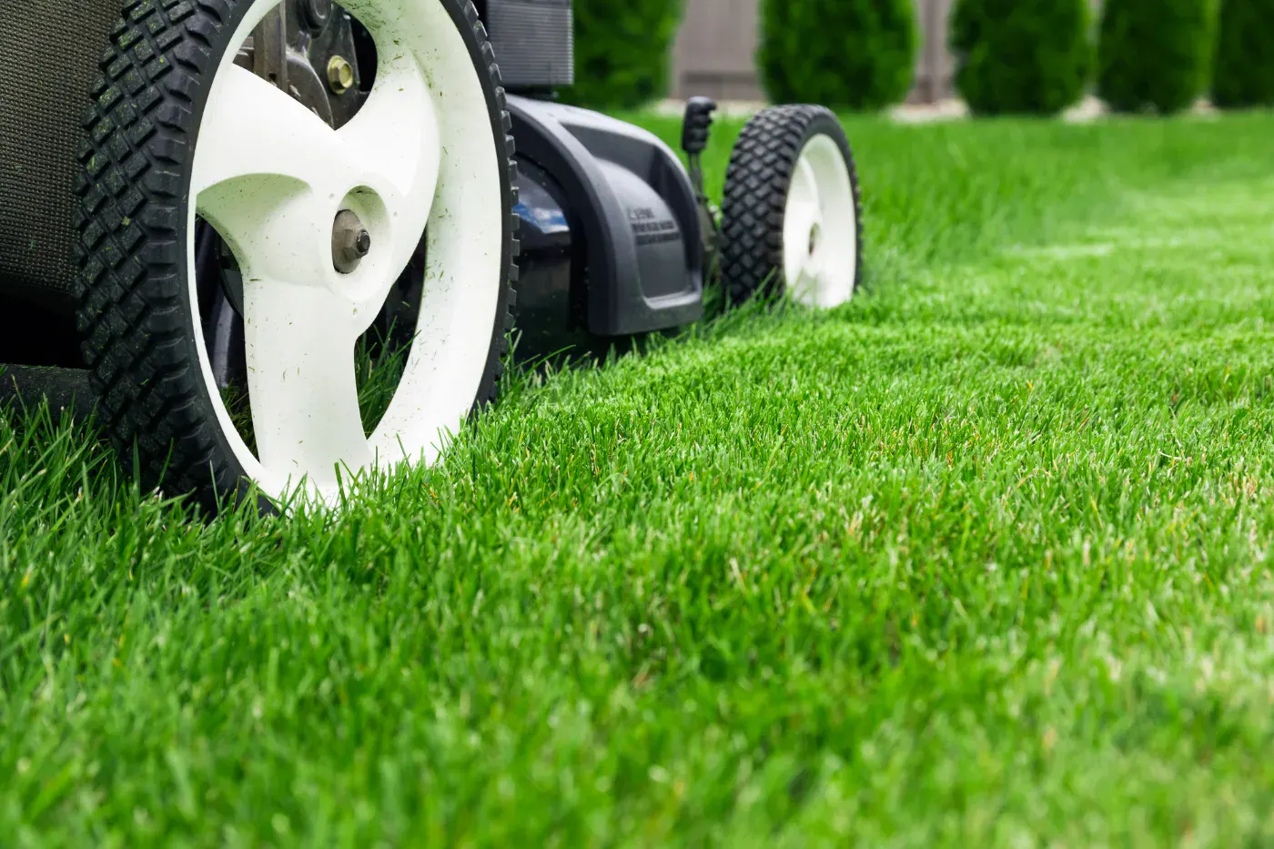 Lawn mower on freshly cut grass