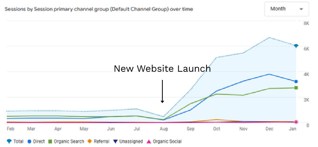 Raynor Door Authority website sessions chart showing traffic growth